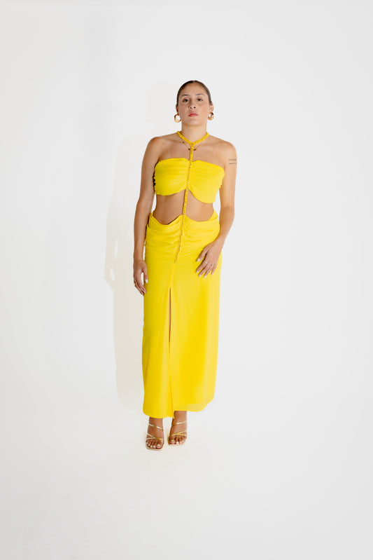 Paloma (082)